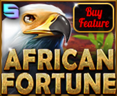 African Fortune