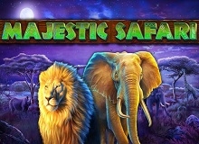 
                            Majestic Safari