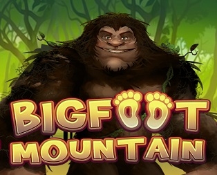 
                            Bigfoot Mountain