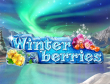 Winterberries