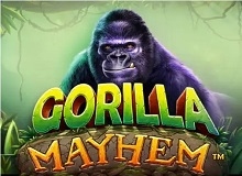 
                            Gorilla Mayhem