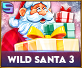 Wild Santa 3