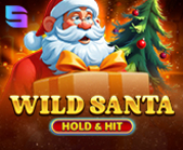 Wild Santa - Hold & Hit