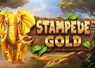 
                            Stampede Gold™
