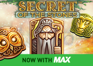 
                            Secret of the Stones