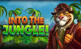 Into the Jungle