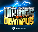 Vikings Go To Olympus Wild Fight™ RushingWilds™
