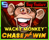 Wacky Monkey - ﻿﻿Chase'N'Win