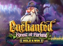 
                            Enchanted: Forest of FortuneTM