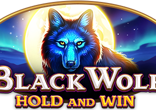 
                            Black Wolf