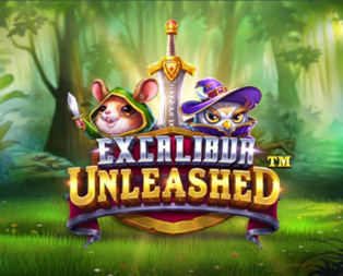 
                            Excalibur Unleashed™