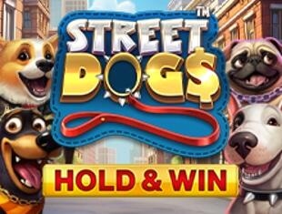 
                            Street Dogs - Hold & Win