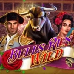 Bulls Run Wild