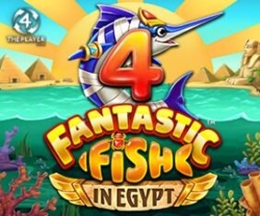 4 Fantastic Fish in Egypt