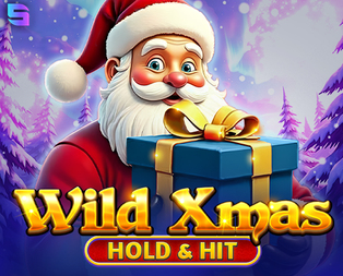 Wild Xmas -  Hold & Hit