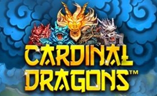
                            Cardinal Dragons NJP