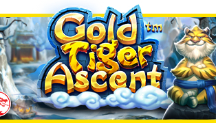
                            Gold Tiger Ascent