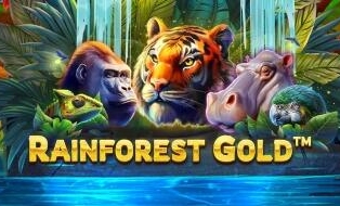 
                            Rainforest Gold™