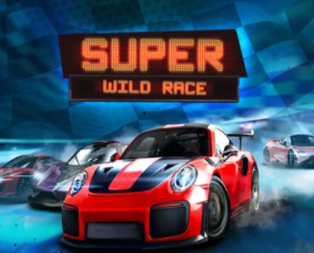 Super Wild Race ™