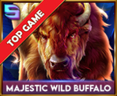 Majestic Wild Buffalo