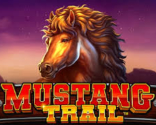 
                            Mustang Trail™