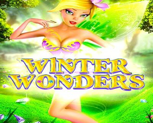 Winter Wonders