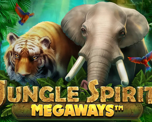 
                            Jungle Spirit Megaways Buy Feature
