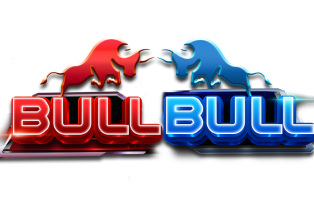 
                            Bull Bull