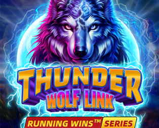 thunderwolflink