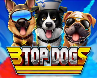 
                            3 Top Dogs 