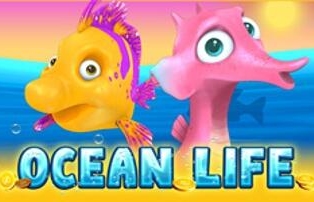 
                            Ocean Life