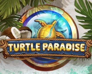 Turtle Paradise