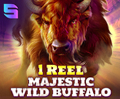 1 Reel - Majestic Wild Buffalo