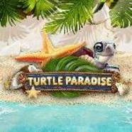 
                            Turtle Paradise