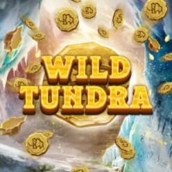 Wild Tundra