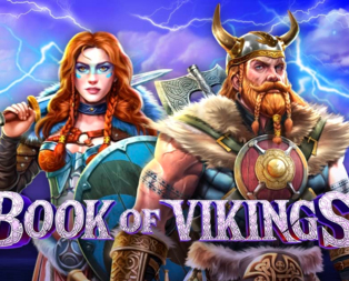 
                            Book of Vikings™