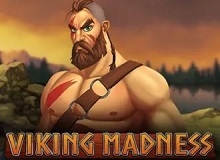 
                            Viking Madness