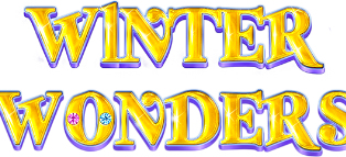 
                            Winter Wonders
