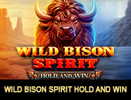 
                            Wild Bison Spirit Hold And Win