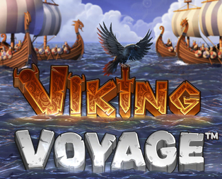 
                            Viking Voyage