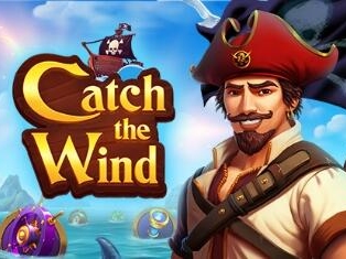
                            Catch the Wind 