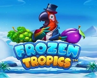 
                            Frozen Tropics™