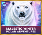 Majestic Winter - Polar Adventures