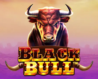 
                            Black Bull