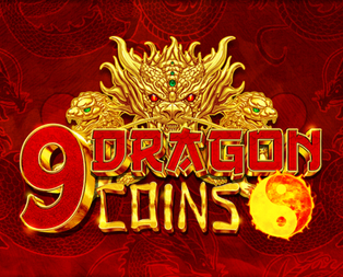 
                            9 Dragon Coins