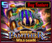 Book Of Panther - Wild Dawn
