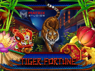 
                            Tiger Fortune Scratch