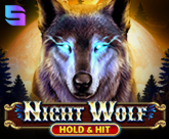 Night Wolf - Hold & Hit
