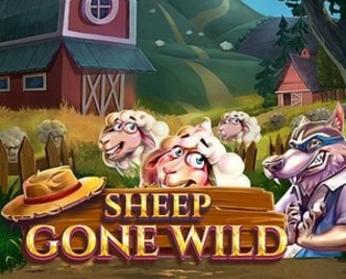 Sheep Gone Wild