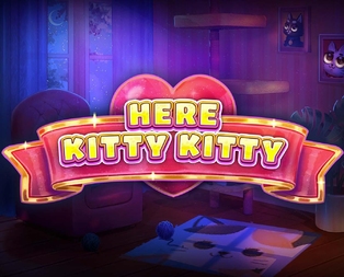 
                            Here Kitty Kitty